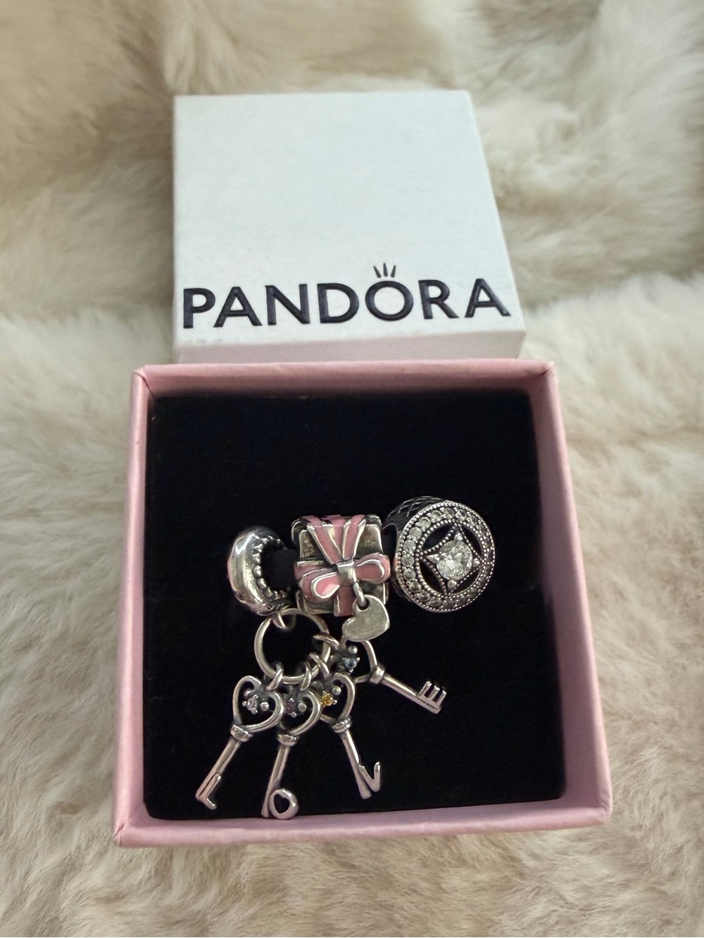 Pandora Charm Bundle